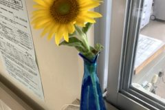 20230715_045521612_iOS