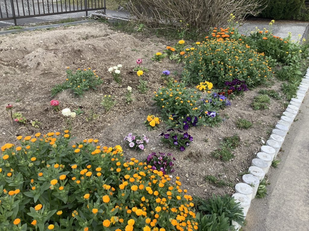 春が近づいて来ました _ 春の訪れ 例文 _ 【676】「春が近づいてきている。 Spring is approaching.」 – TEQEN